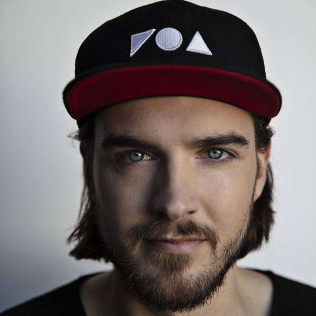 Reinier Zonneveld image