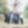 Profile photo of SANAM