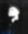 Profile photo of Scala