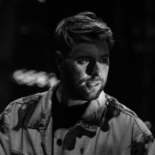 Sebastian Ingrosso image