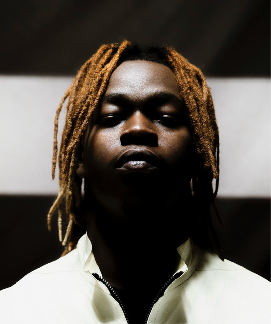 Sherrifflazone image