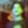 Profile photo of Sisou