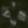 Profile photo of Sol Pillars