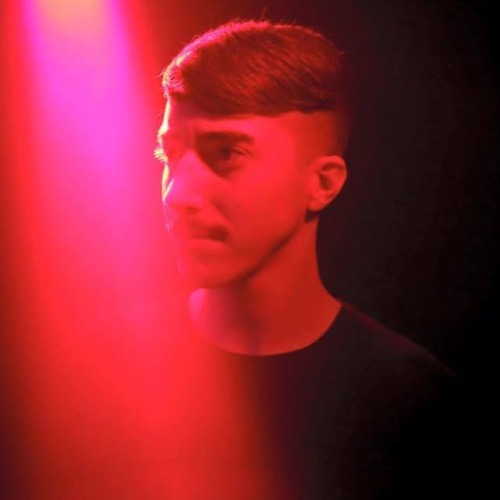 Stefano Di Miceli image