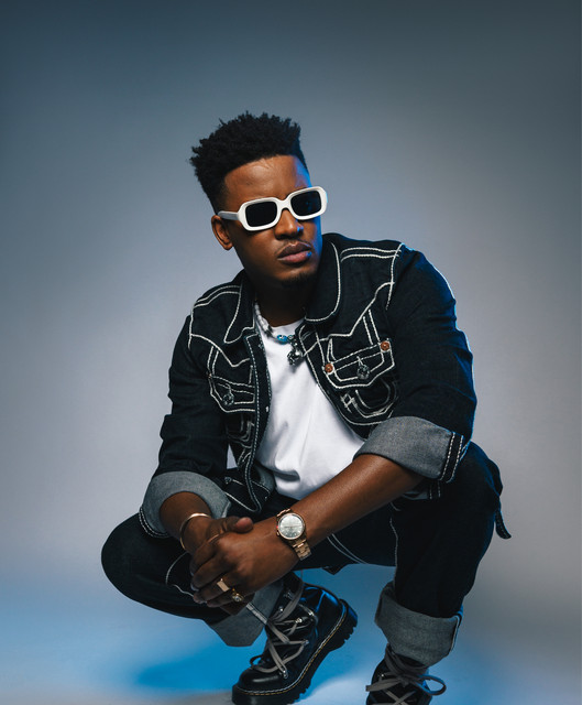 Sun El Musician  image