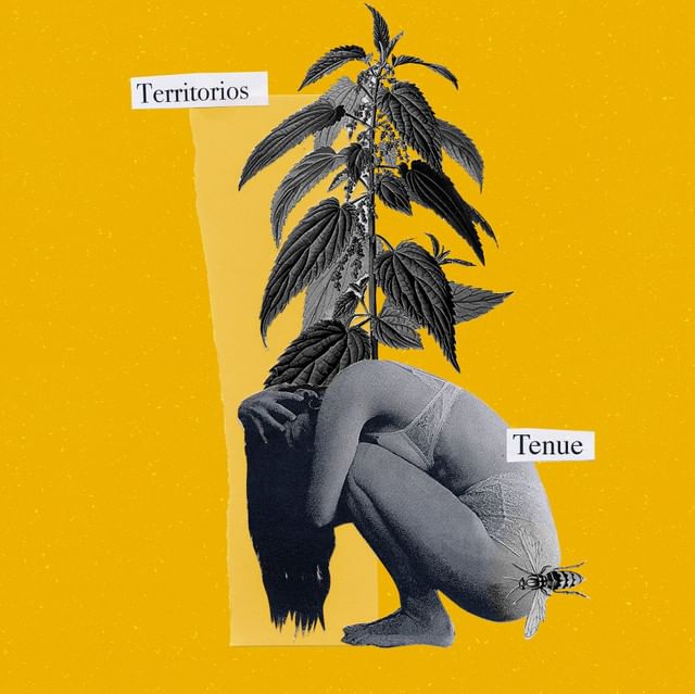 Cover for artist: TENUE