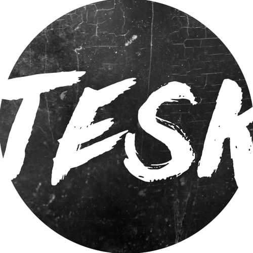 Cover for artist: Tesk