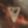Profile photo of The Voynich Code