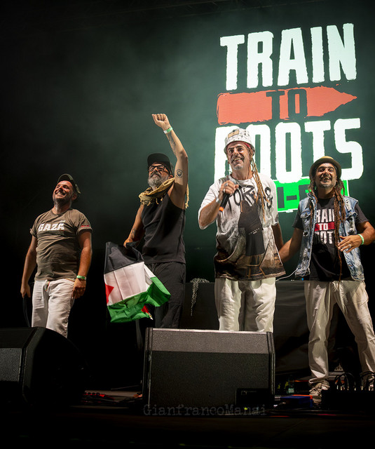 Train to Roots image