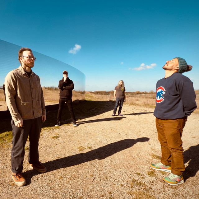 Turin Brakes image