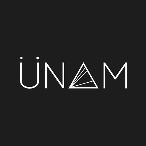 Cover for artist: Unam