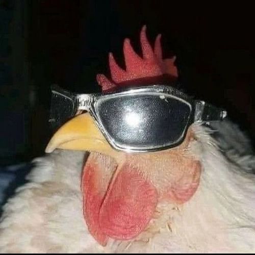 Picture of VANTH
