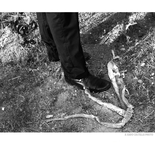 Vladimir Dynamo image