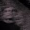 Profile photo of Vøltt