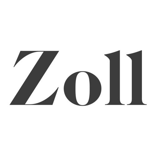 Zoll Projekt image