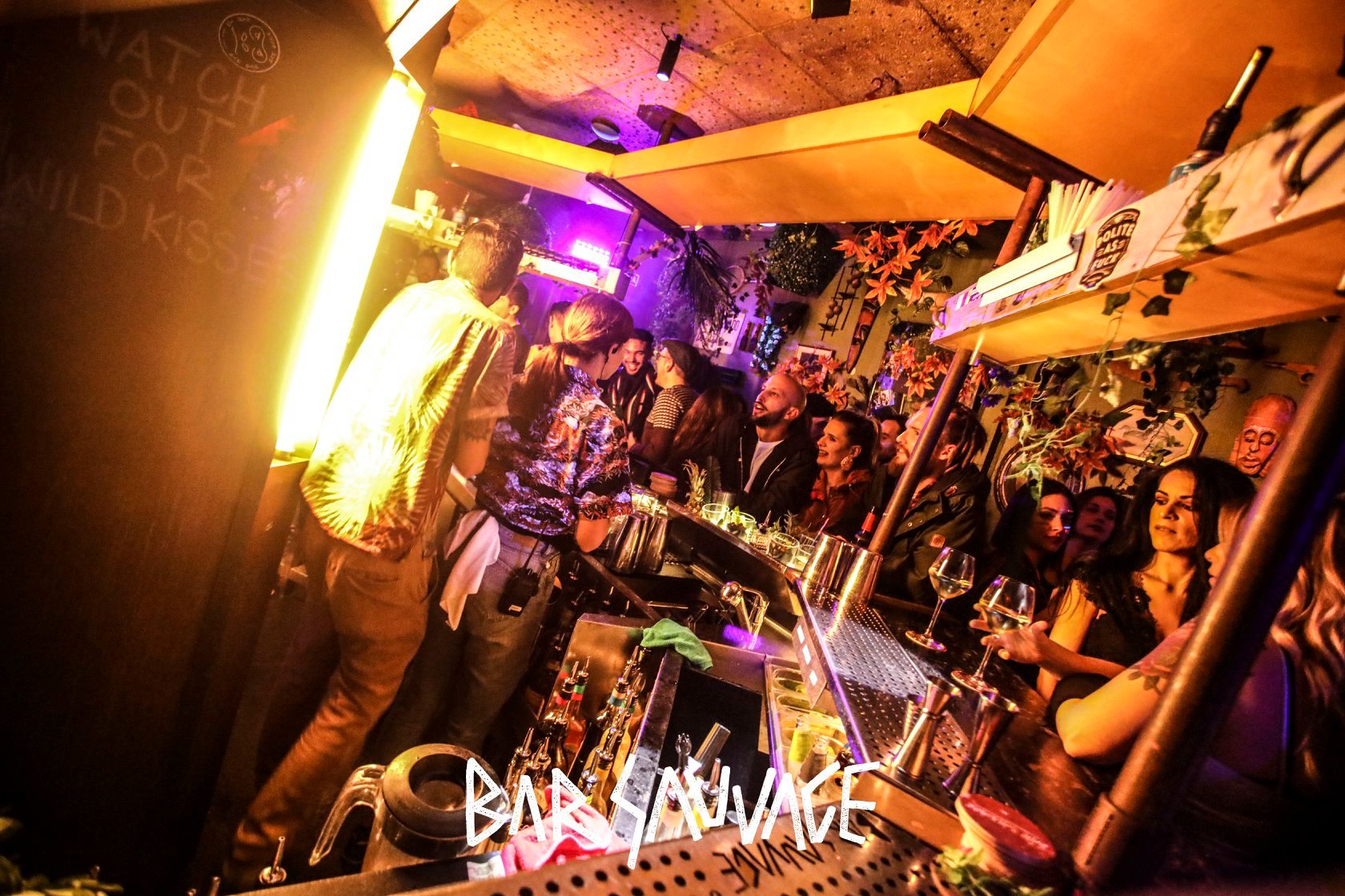 Bar Sauvage gallery image
