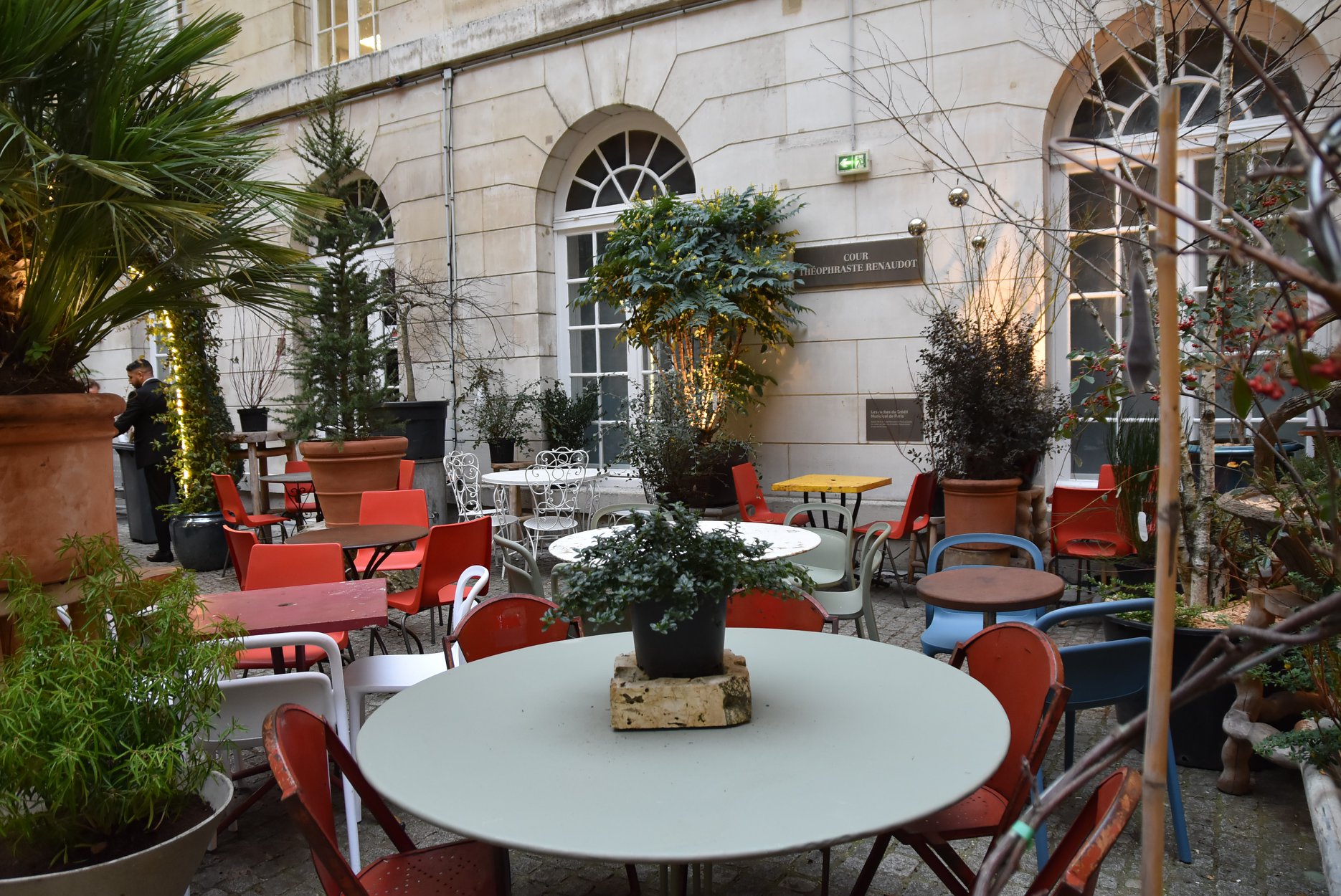 Griffon gallery image