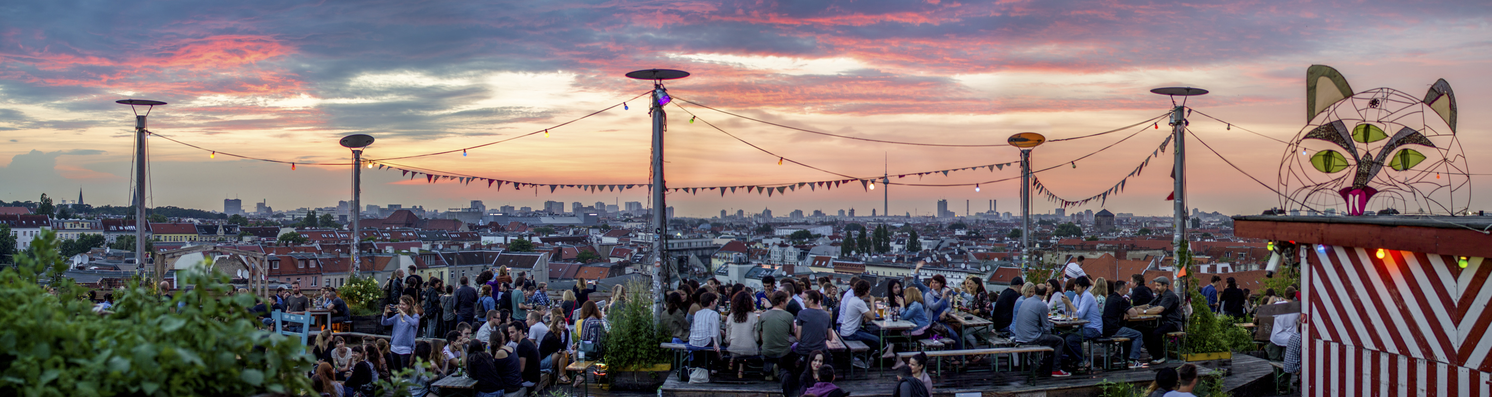 Klunkerkranich gallery image