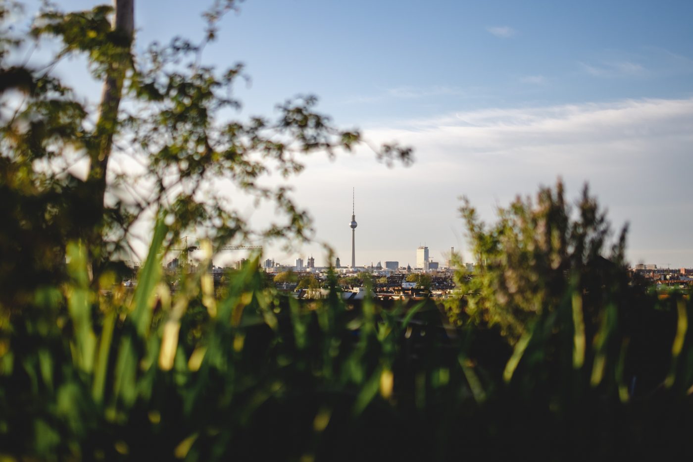 Klunkerkranich gallery image