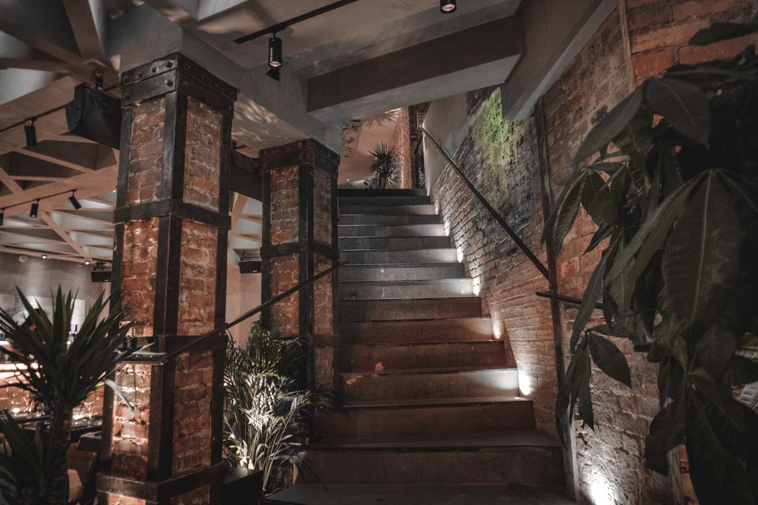 Moloko gallery image