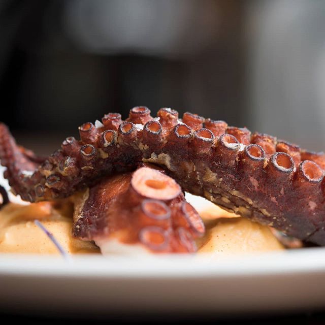 Palentino gallery image