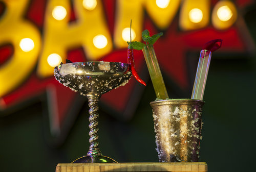 Salmon Guru gallery image