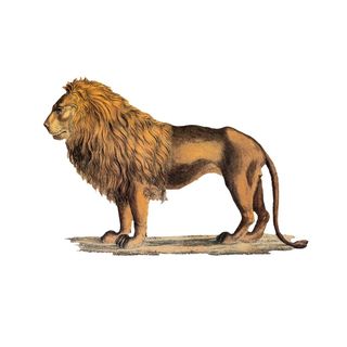 Le Lion Bar de Paris