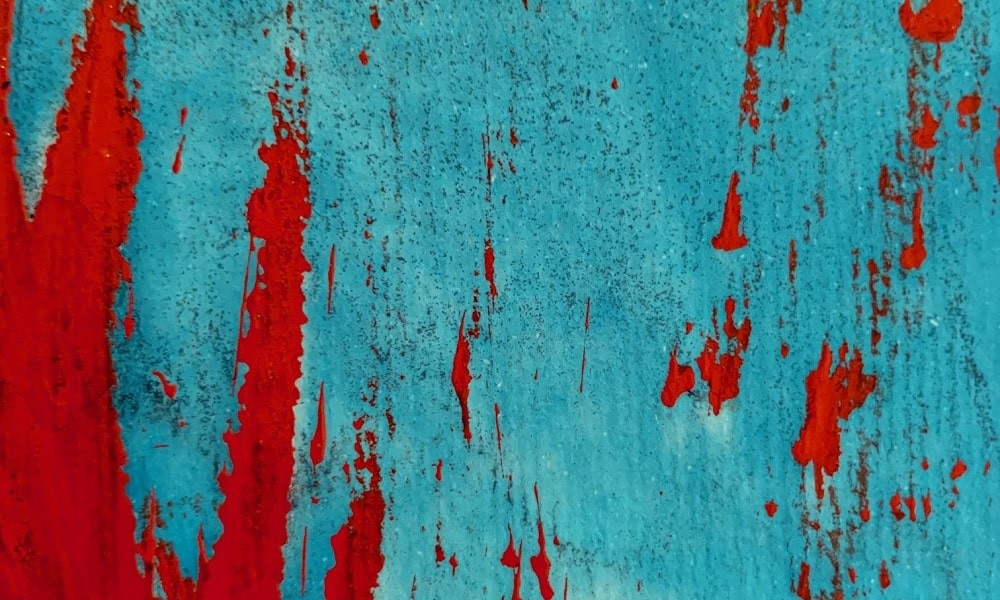 Xceed Premiere 004: “Unité et division dans l’apparence” by Squaric