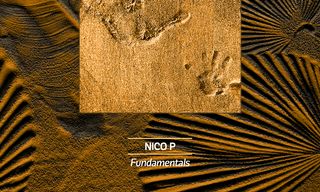 Featured image for: Xceed Premiere 022: Nico P – Fundamentals