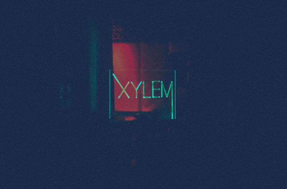 Lightning sign with the word Xylem on it