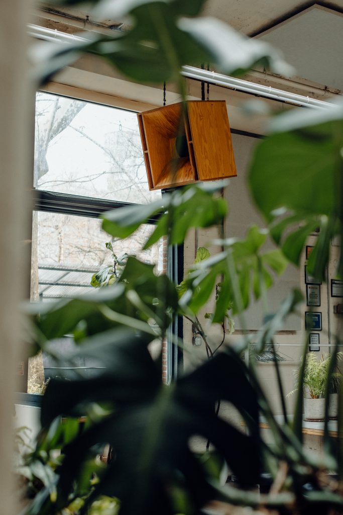Natural light filling The Atrium at Public Records, with speakers and lush greenery blending industrial and organic elements.