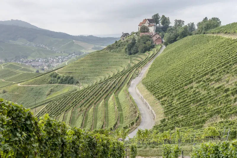 staufenberg