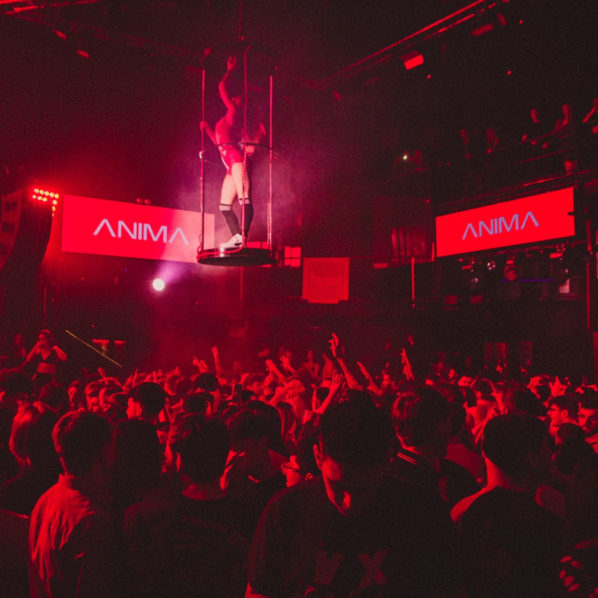 Anima Event Anima Club Club Spresiano | Events | Tickets & Guest Lists | Xceed