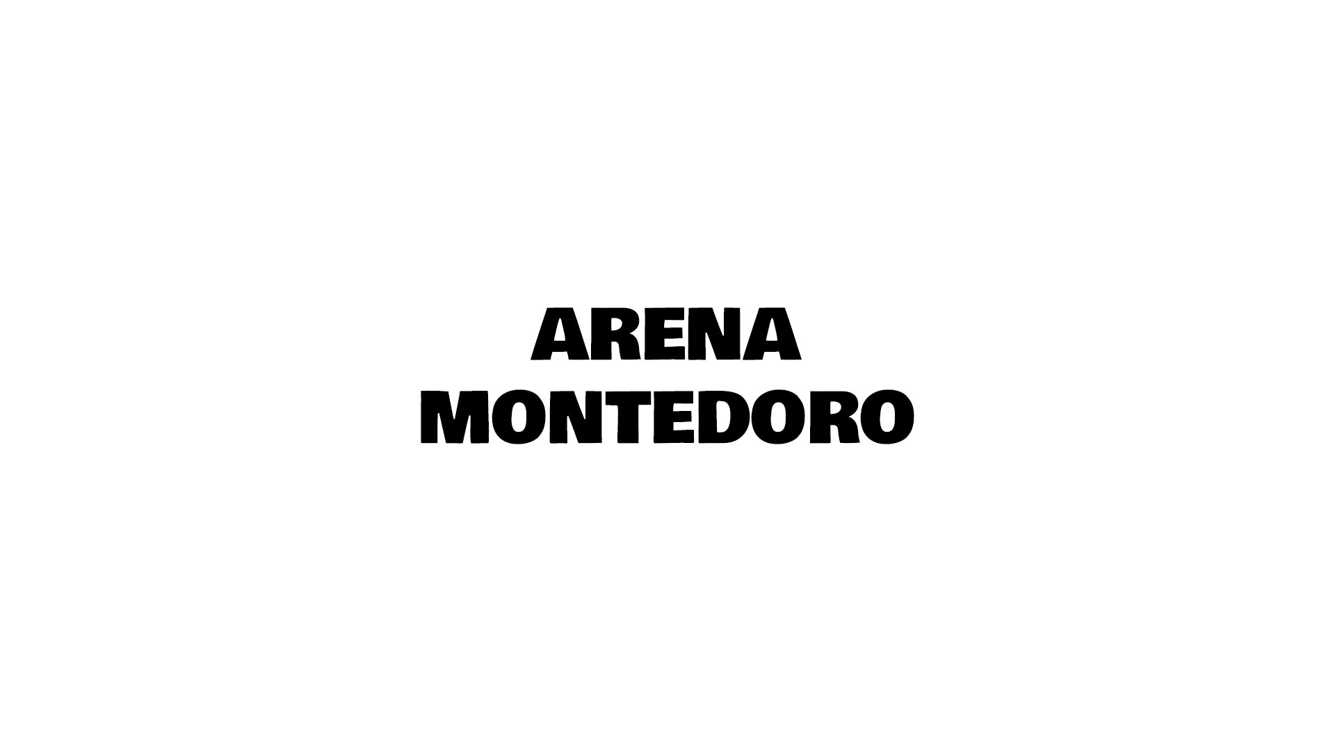 Arena Montedoro image