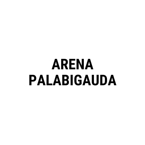 Arena PalaBigauda image