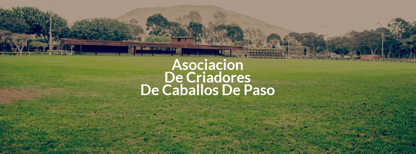 Asocaciación  de Criadores De Caballos de Paso image