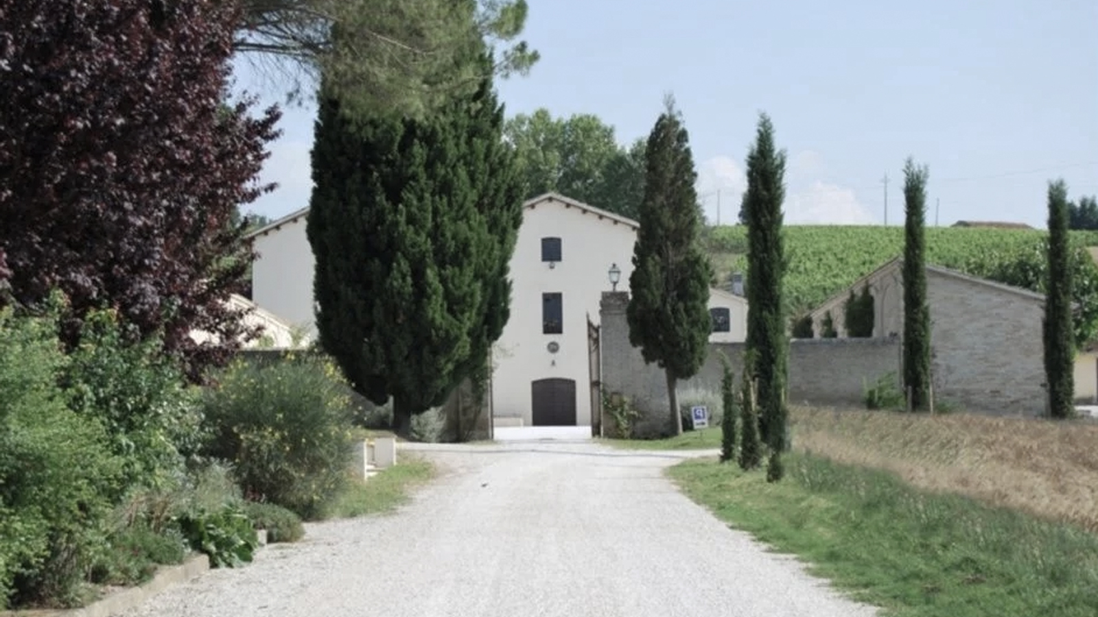 Azienda Agricola Raína image
