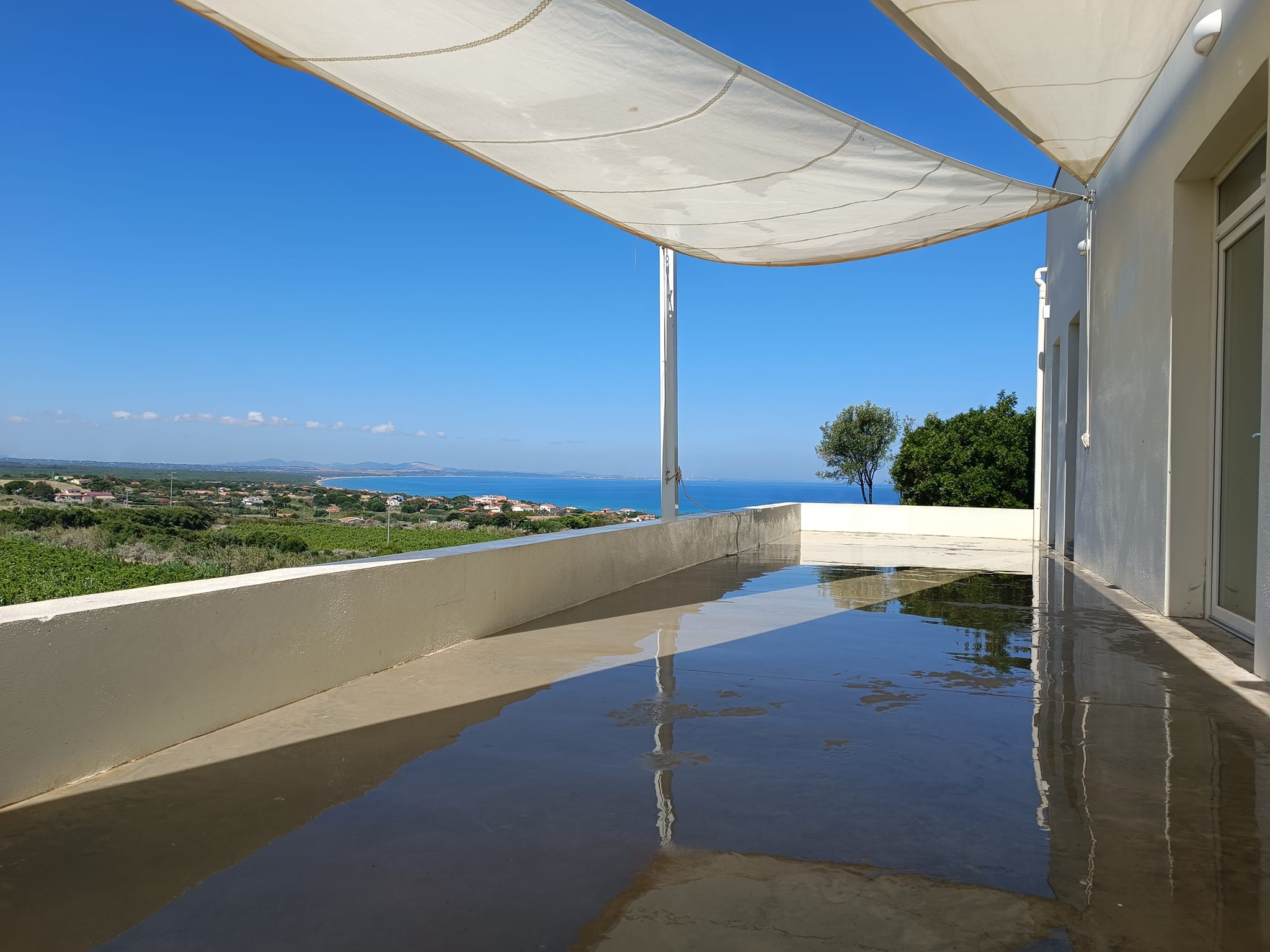 Cantina Mario Bagella image