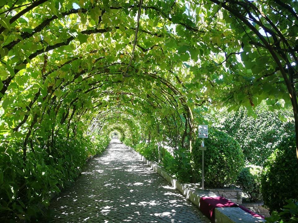 Casa da Azenha - Vale de Lobos image