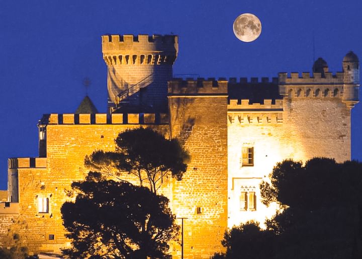 Cover for venue: Castell de Fels