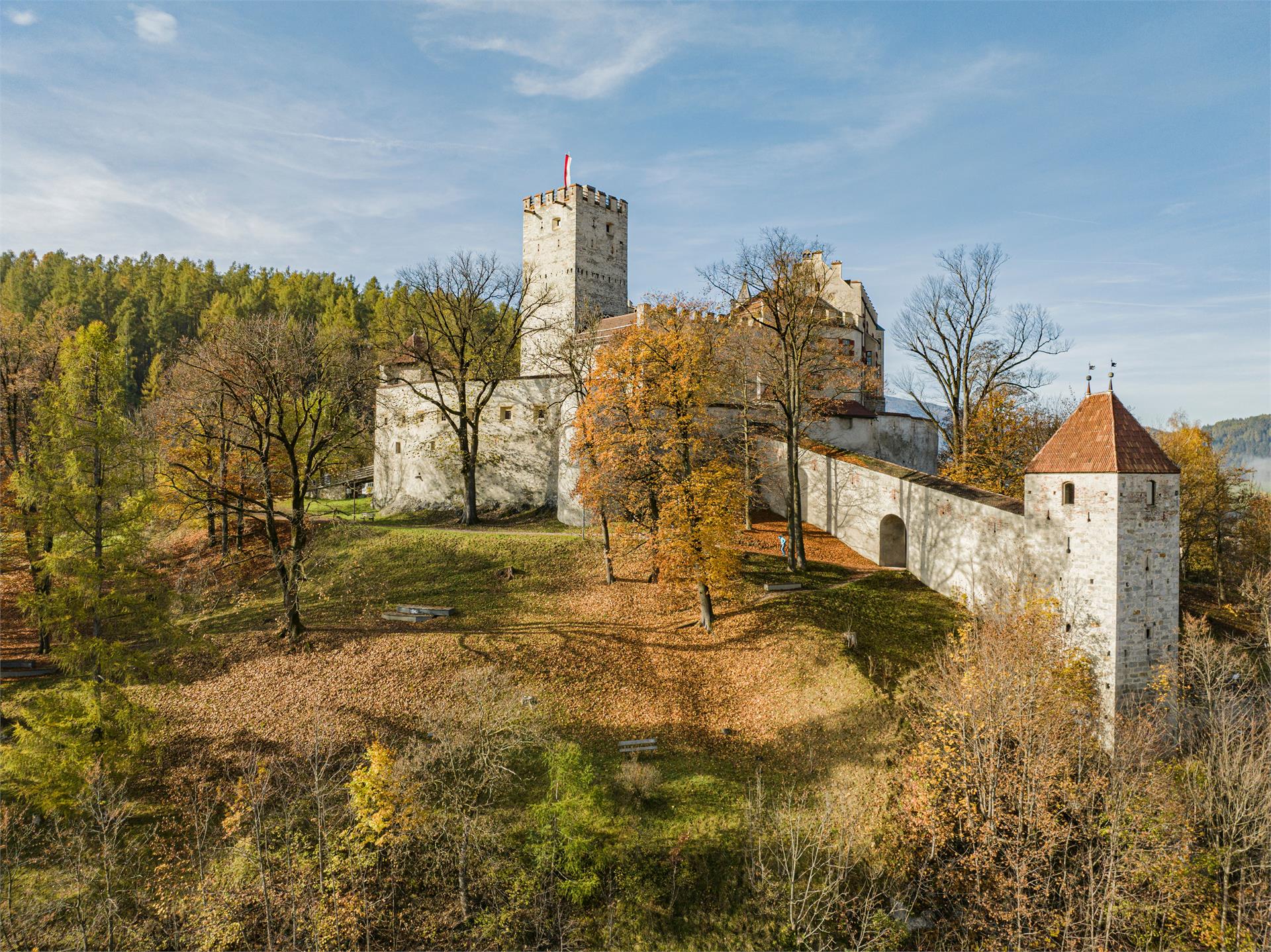 Crazy Castle Festival image