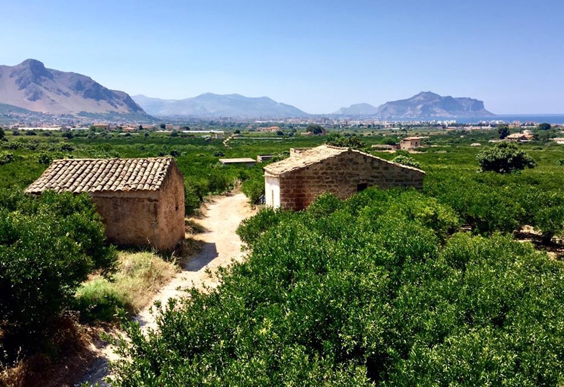 Fondo Favarella image