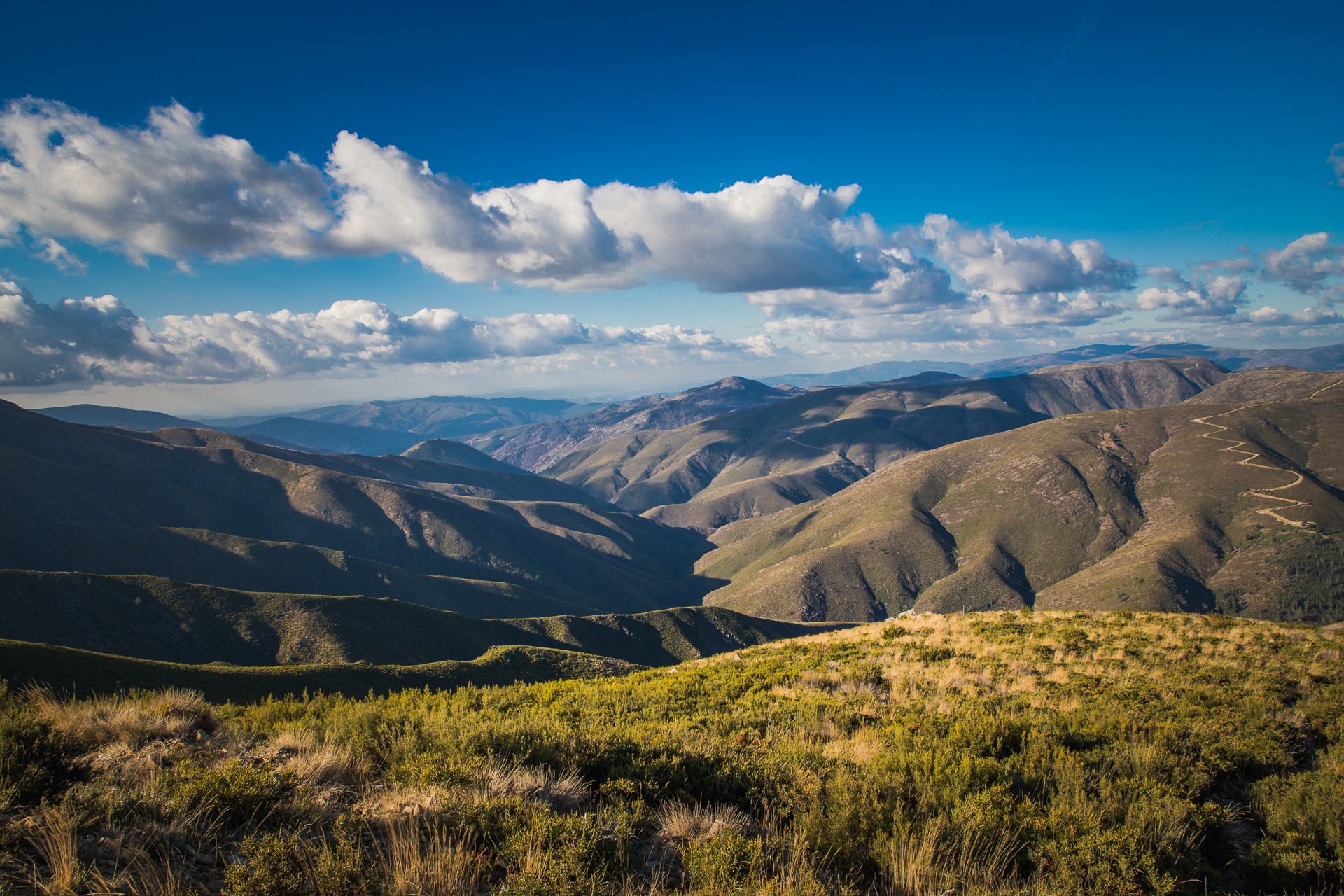 GOAT Community Intimate Festival image