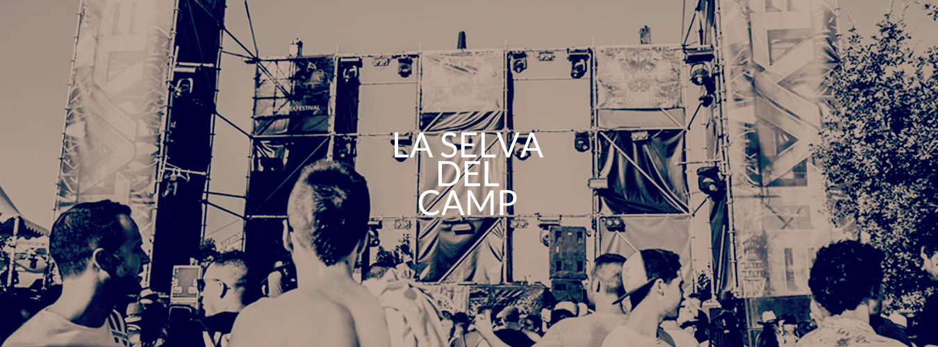 La Selva Del Camp image