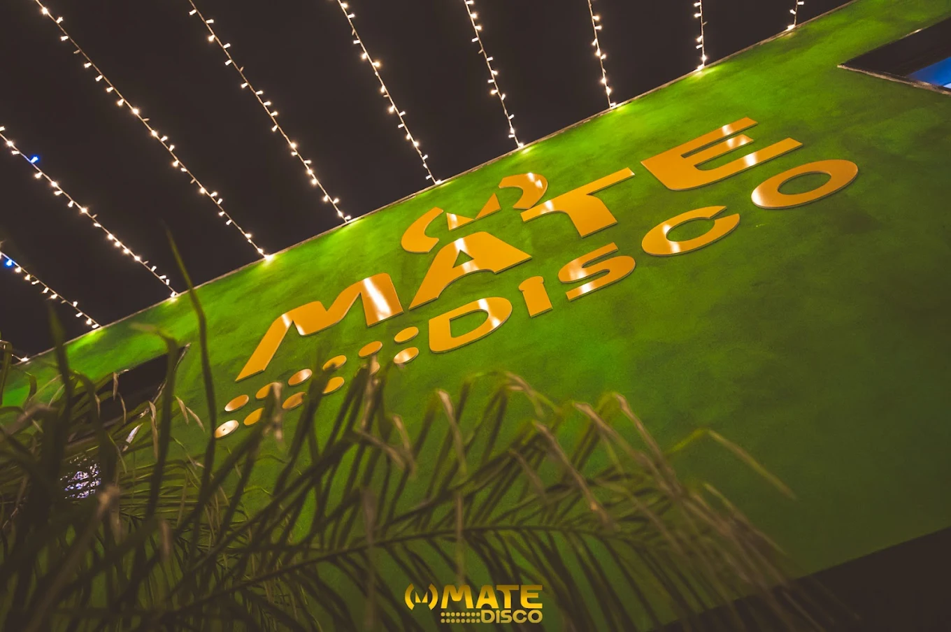 Mate Disco Club image