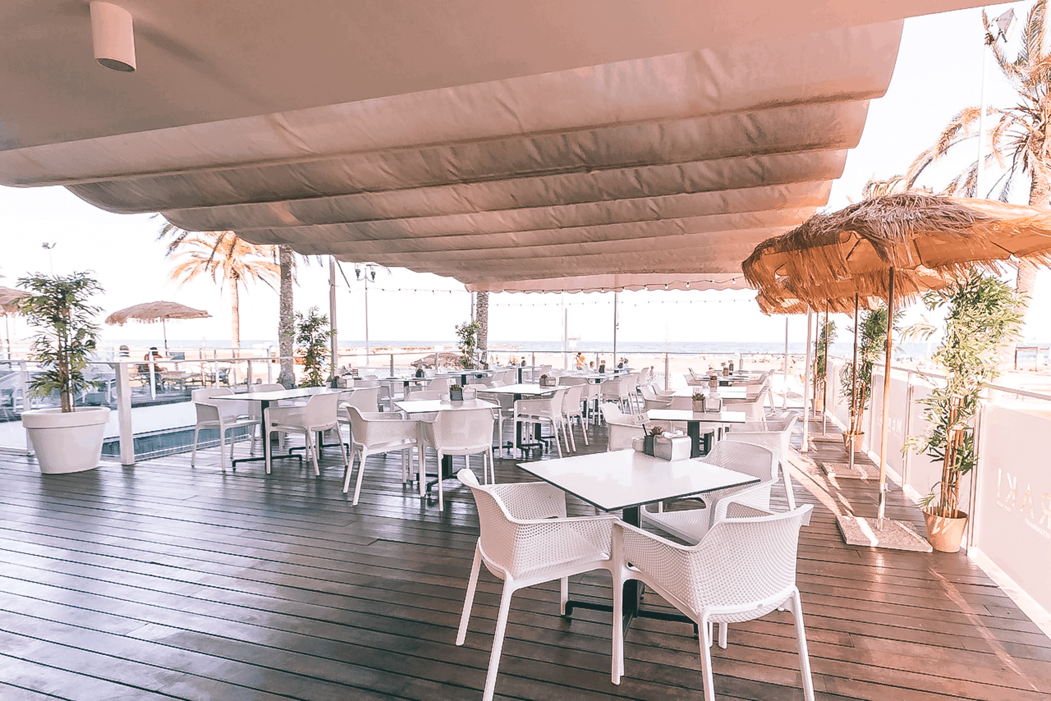 Meraki Beach Sky Bar Club Valencia | Events | Tickets & Guest Lists | Xceed