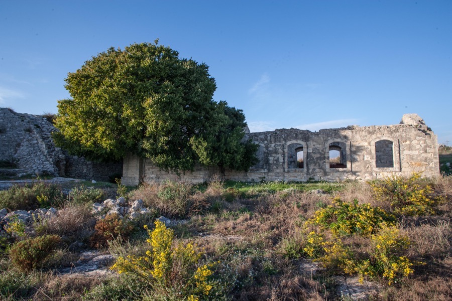 Miniera di pece Streppenosa image