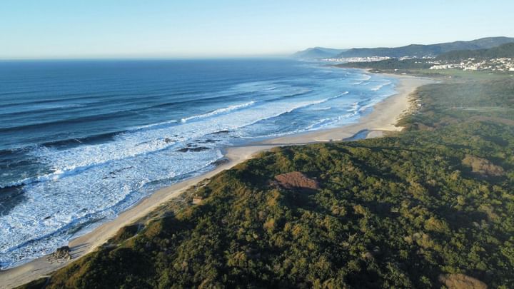 Cover for venue: Praia da Arda
