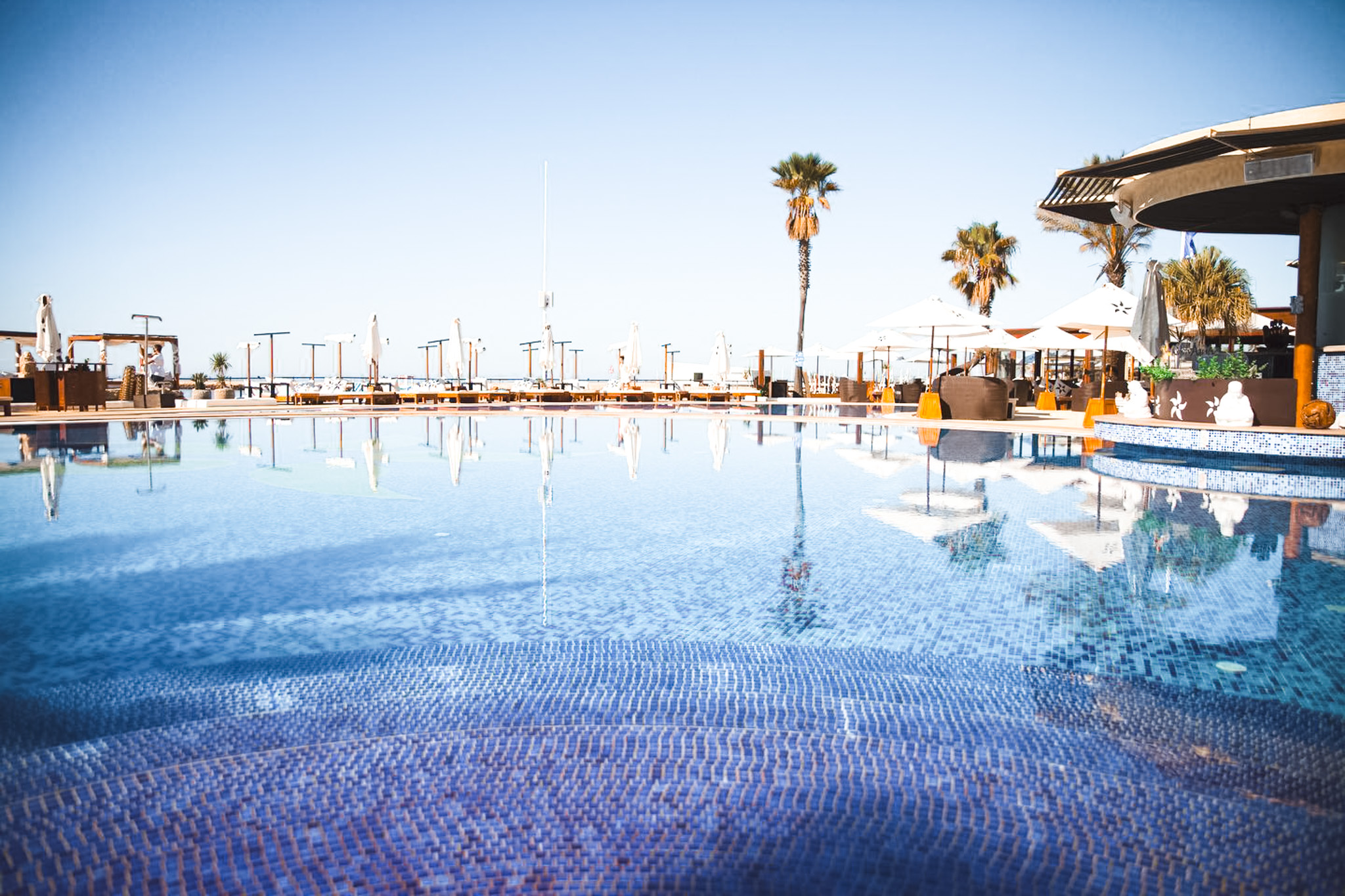 NoSoloÁgua Portimão image