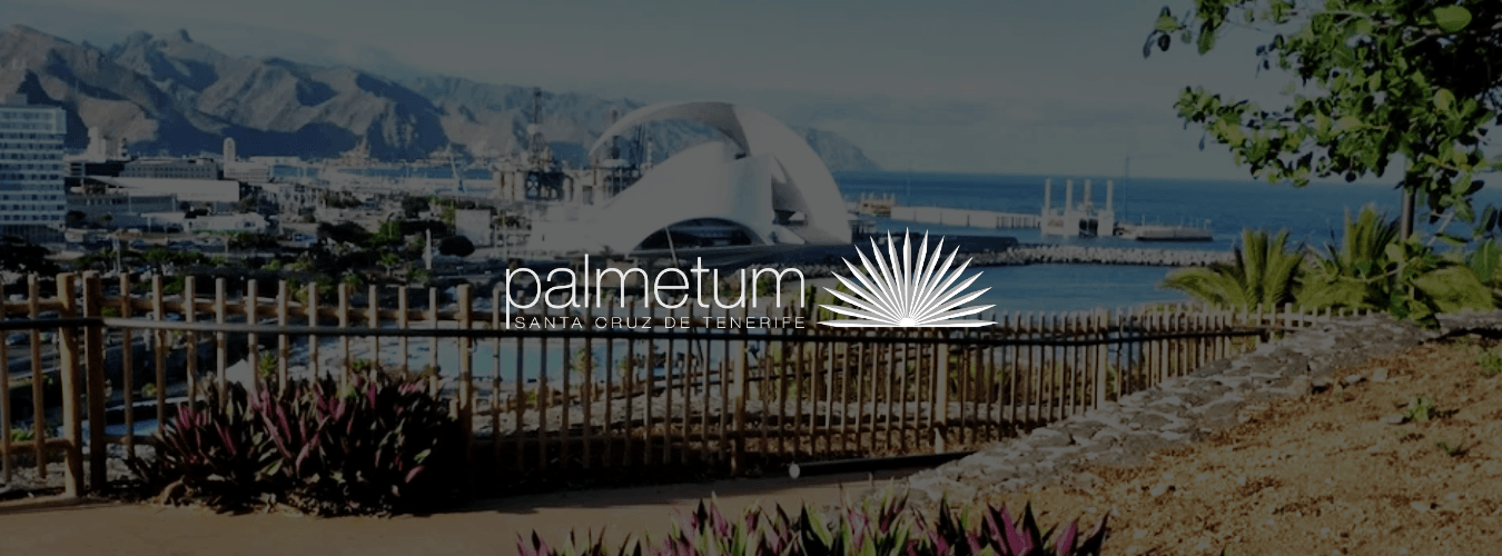 Palmetum Santa Cruz image